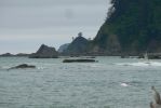 PICTURES/Rialto Beach/t_Flying Gulls5.JPG